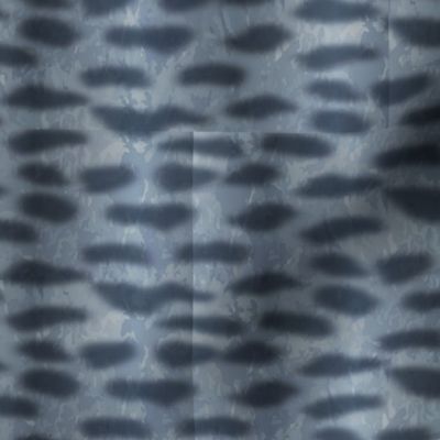 Tiger Shark Skin