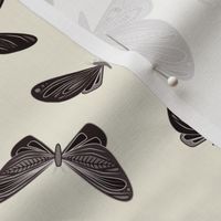 small - moths in dark brown on natural