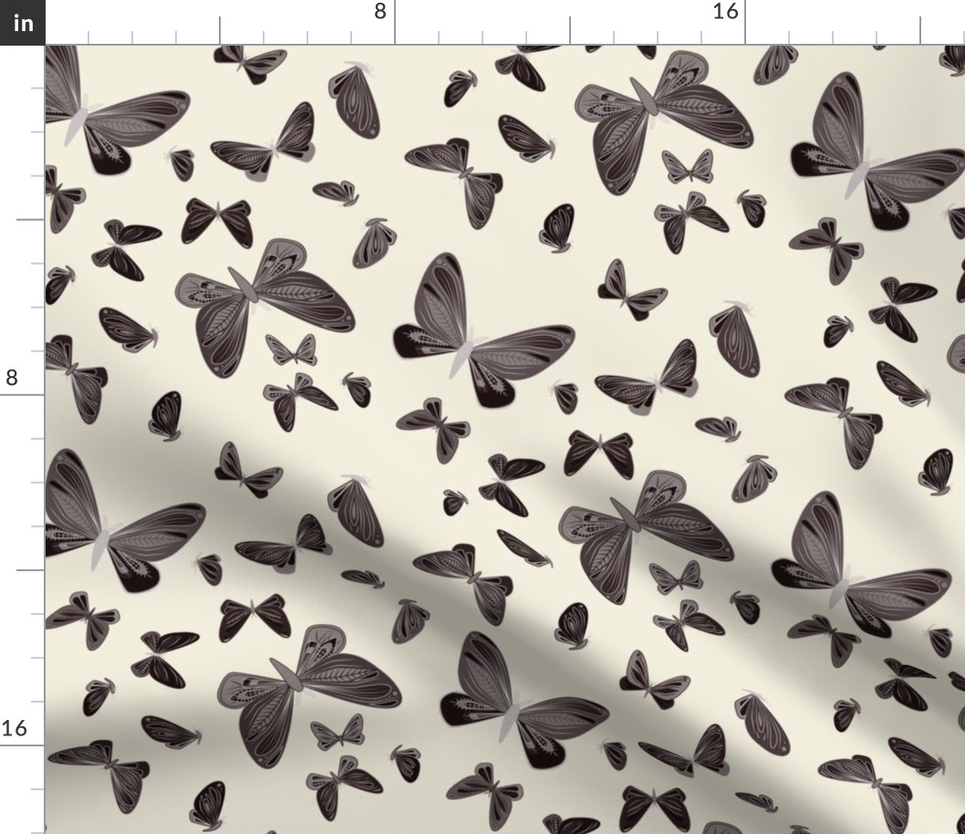 small - moths in dark brown on natural