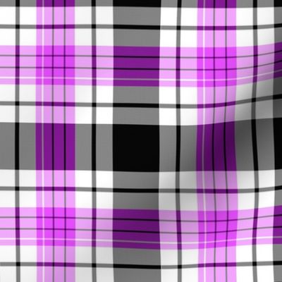 Purple Tartan Plaid | Purple & Black | Renee Davis