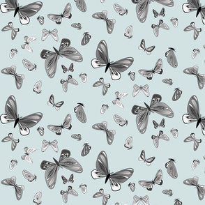 small - moths in black and white on light blue