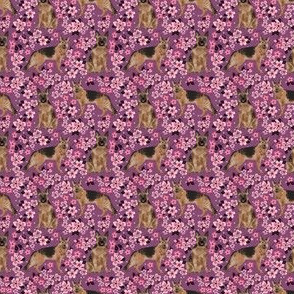 TINY - German Shepherd spring fabric cherry blossom