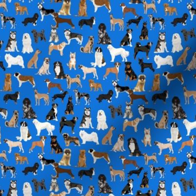 TINY - working dogs fabric - working dogs group fabric, dog fabric, dogs fabric, working dogs design  -  royal