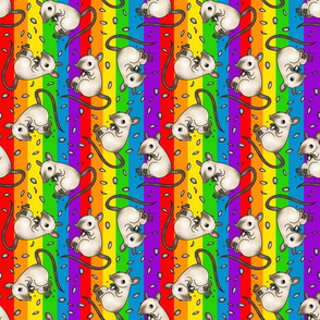 Siamese rat -rainbow colors