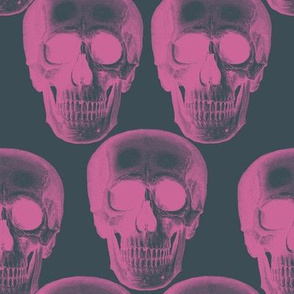 Pink skulls on dark grey background.