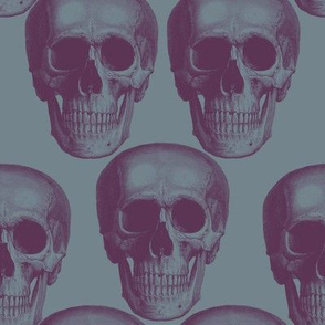 Dark skulls on dark background