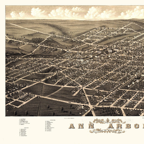 17-11   Birdseye Map of Ann Arbor, Michigan - 1yd
