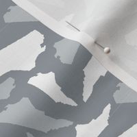 North Carolina State Shape Pattern  Grey-01-01-ed