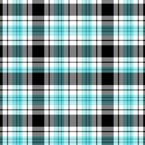 Tartan Plaid | Turquoise & Charcoal Gray|Renee Davis