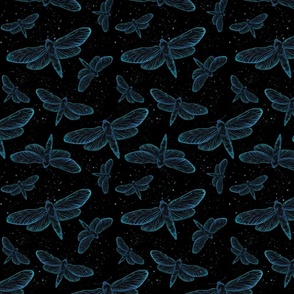 Blue moth sky