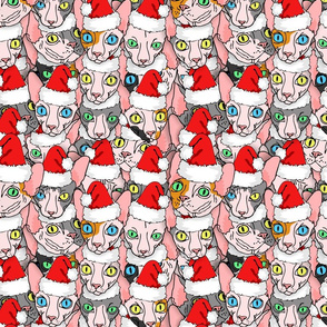 christmas sphynx diverse