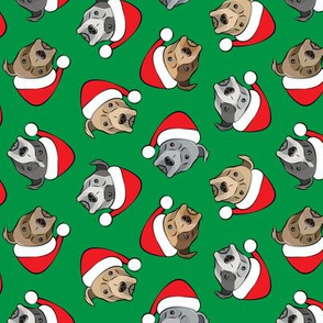 (med scale) All the pit bulls - Santa hats - Christmas Dog (green) C19BS
