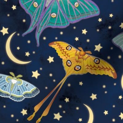 Moon Moths-Large