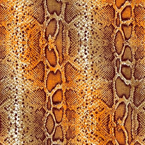 snake skin in bright orange ombre