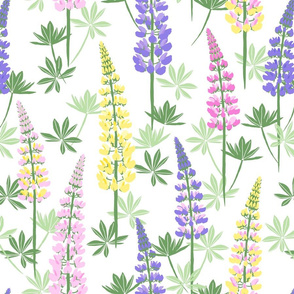 Lupine Fields - white multicolor - large scale
