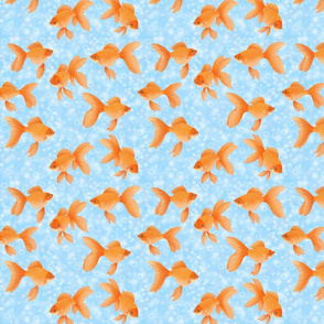 fantail goldfish on sky blue with bubbles