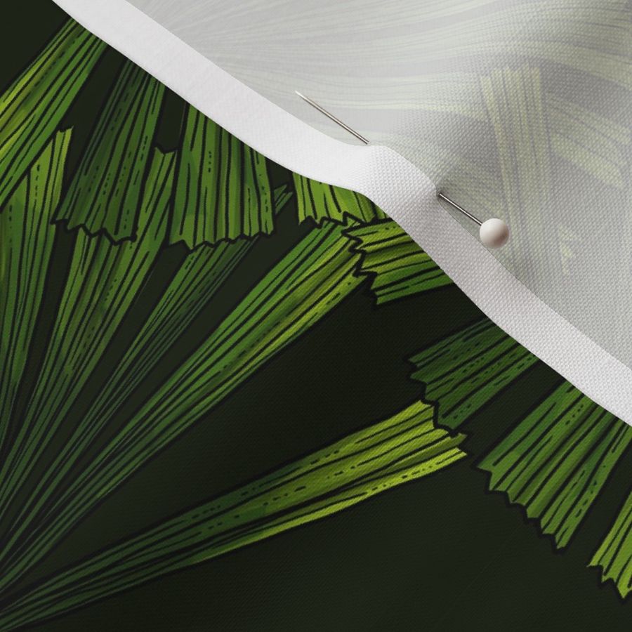 Palm leaves