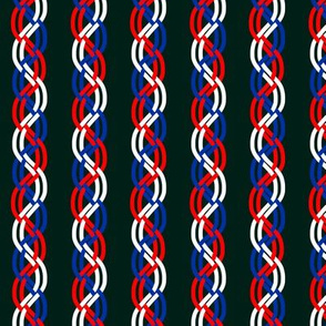 Red White and Blue Braid on Black