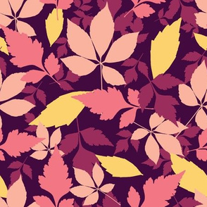 Autumn leaves on dark burgundy background