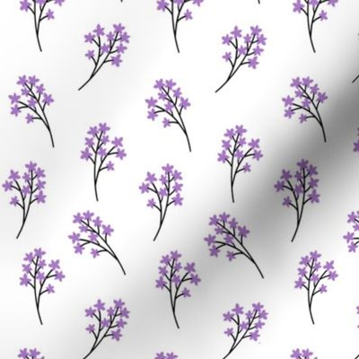 Purple Flower Buds