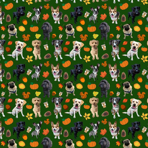 Dogs Love Fall_forest green backgroud