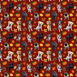 Dogs Love Fall_burgundy background