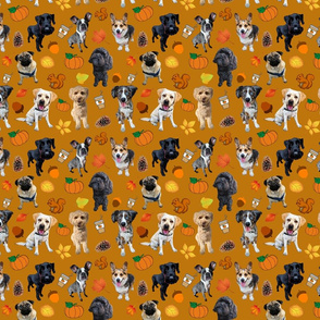 Dogs Love Fall_mustard background