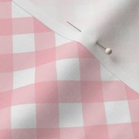 Pink Gingham Bias