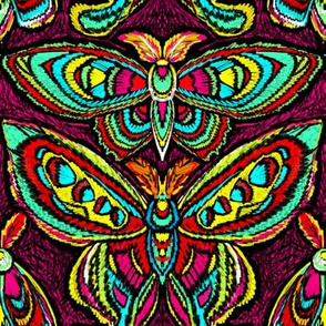 vivid moths