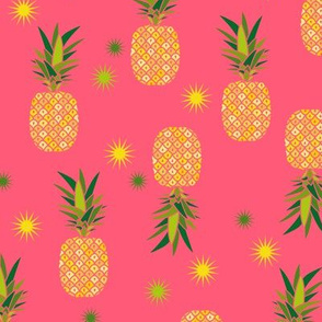 Tropical Pineapple and Stars