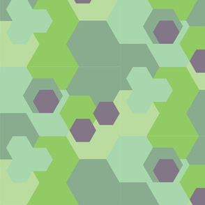 Hexagon Color Block