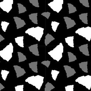 South Carolina State Shape Black and White