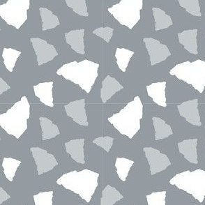 South Carolina State Shape Grey and White