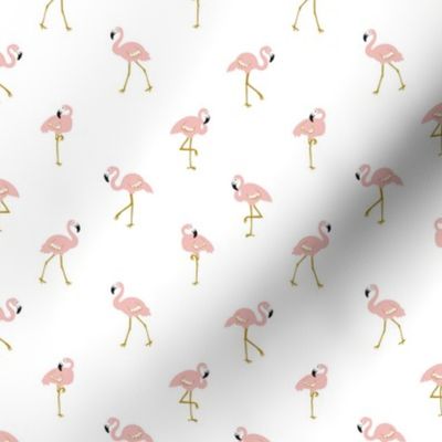 Pink flamingo on the white 