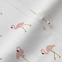 Pink flamingo on the white 