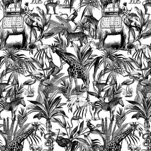 Africa Meets Asia Black And White Pattern