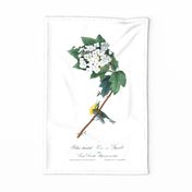 Teatowel Vintage Bird And Flower Illustration