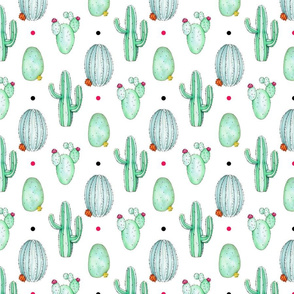 Spiky Cactus Colour Dots