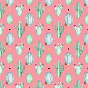 Spiky Cactus Colour Dots Pink