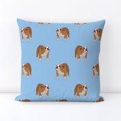 Bull Dog Full Body on Light Blue Background