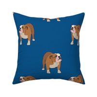 Bull Dog Full Body on Dark Blue Background - Large