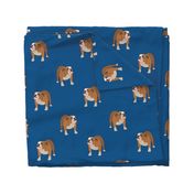 Bull Dog Full Body on Dark Blue Background - Large