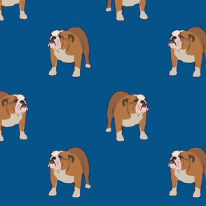 Bull Dog Full Body on Dark Blue Background - Large