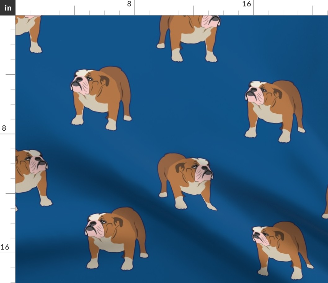 Bull Dog Full Body on Dark Blue Background - Large