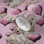 Cocker Spaniel Puppy Love