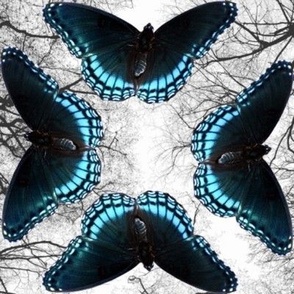 blue moths with bare trees