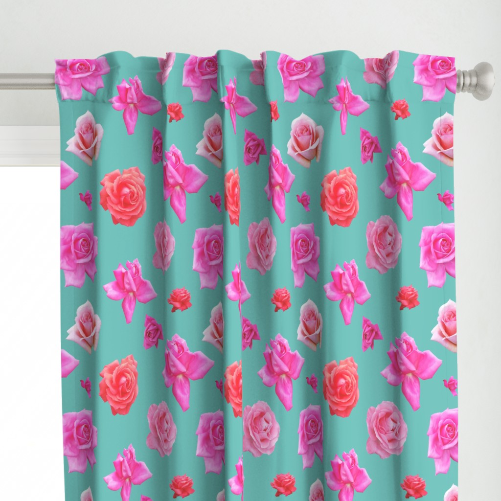 Pink roses on aqua