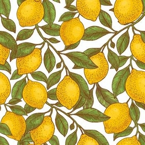 Lemon garden