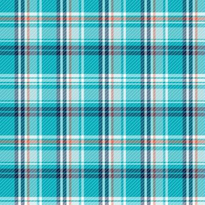 Mariner Plaid - Aqua Regular Scale