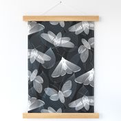 Flittery Linocut Moths